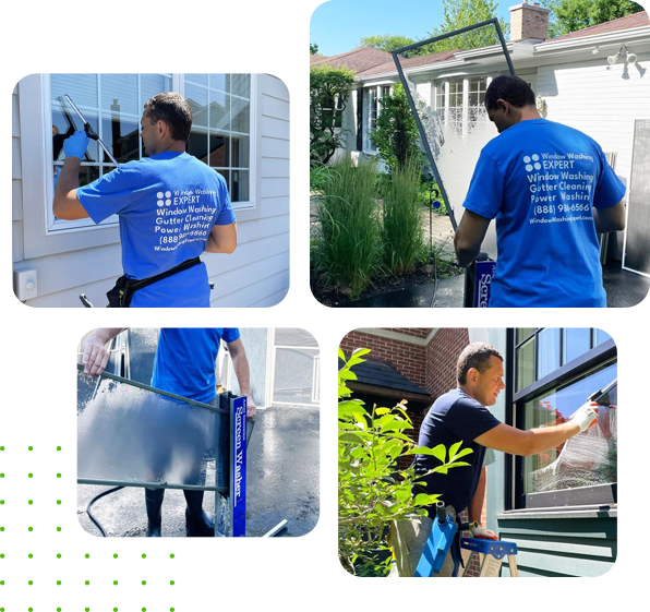 Expert Residential Window Cleaning