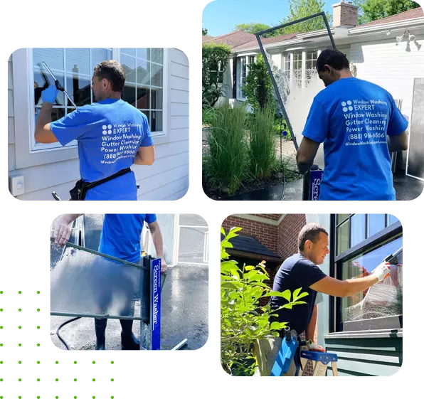 Window Washing Expert - Most Trusted Name For Window Cleaning