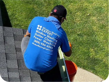 professional gutter cleaners
