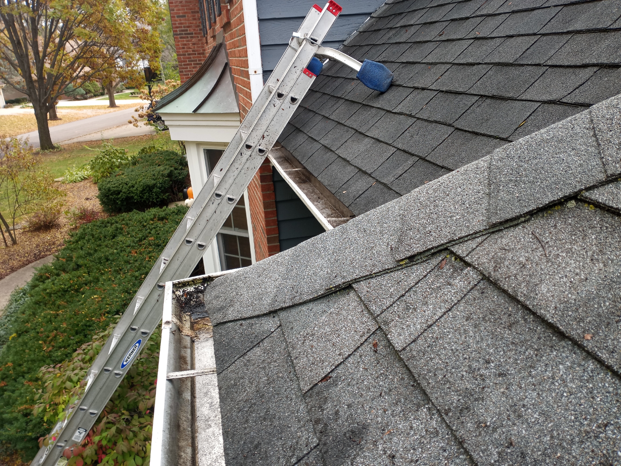 Silver leaders on the roof