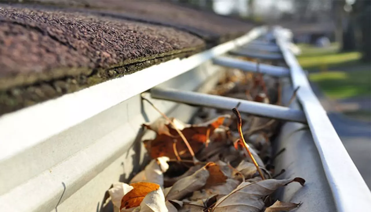 dry leaves in the gutters