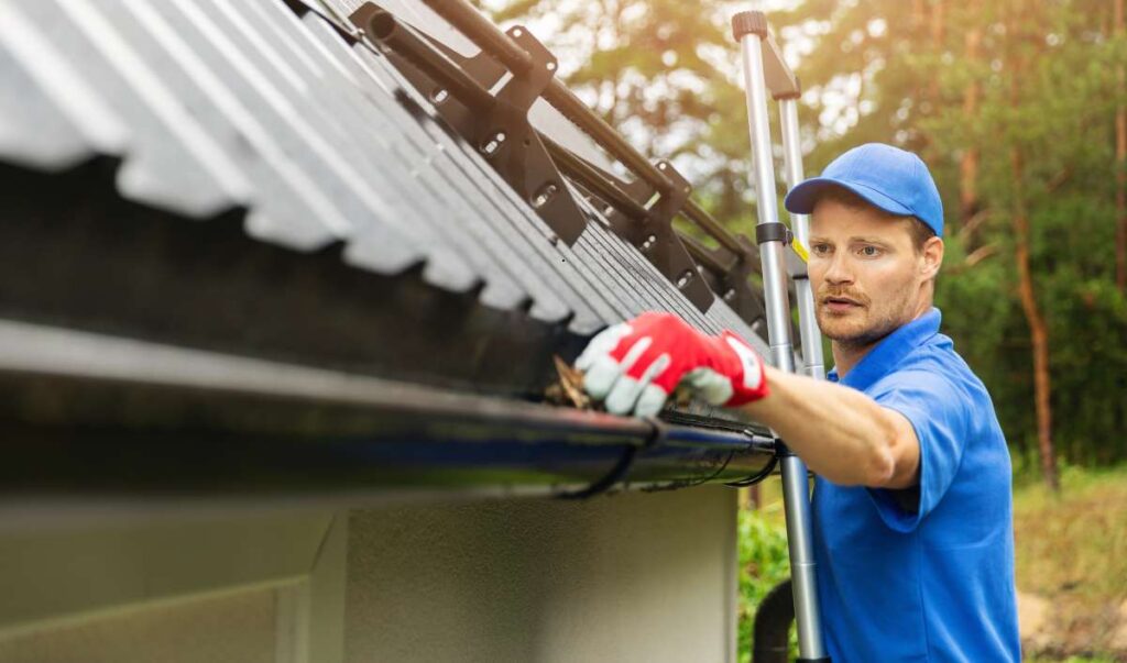 Gutter Cleaning Costs