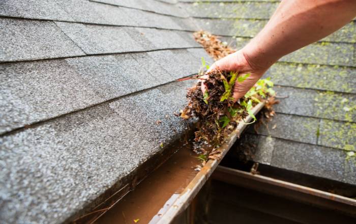 Gutter Cleaning Services And Costs In Chicago And Libertyville